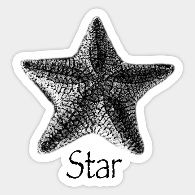 Star. Pretty starfish design Sticker by StephJChild